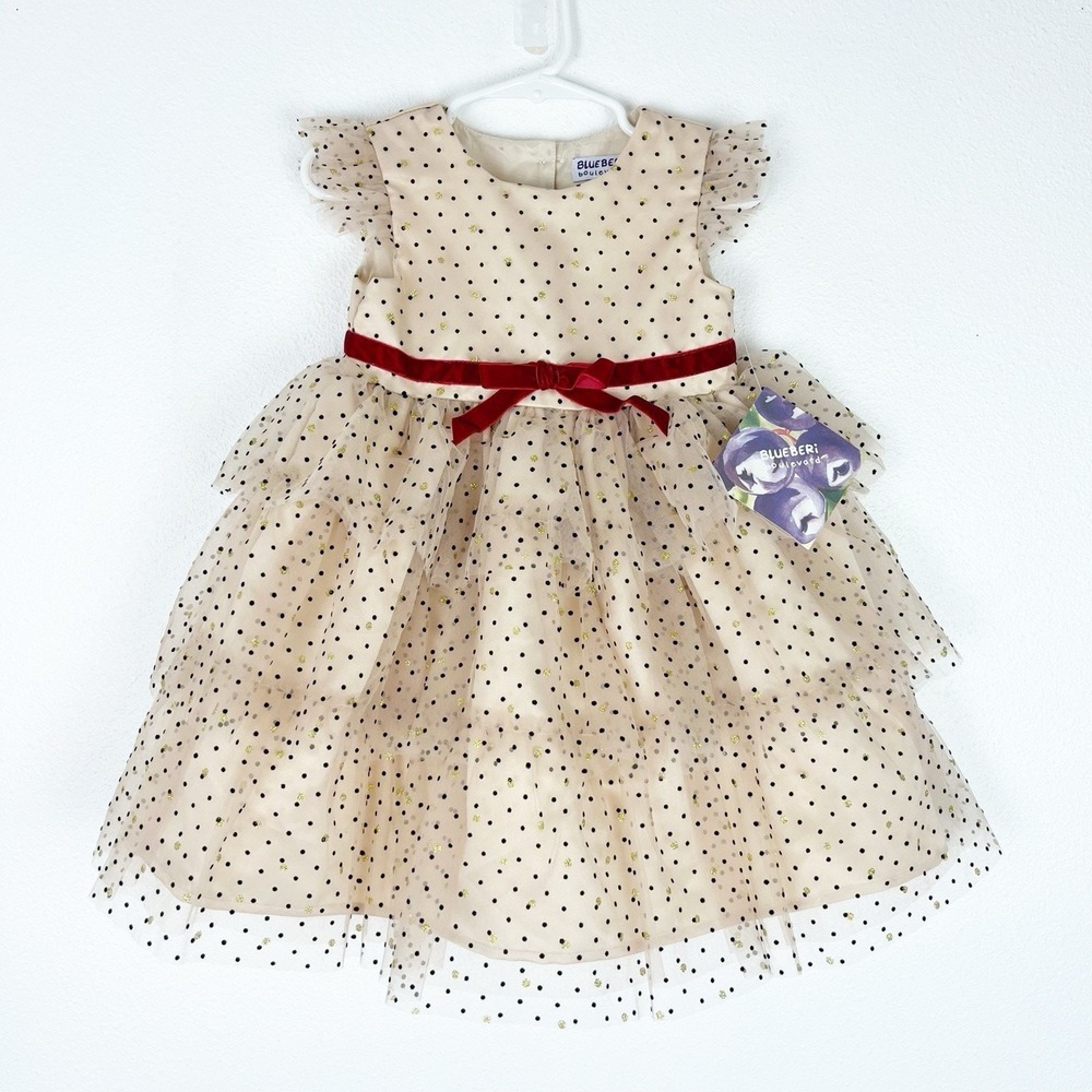 NWT Blueberi Boulevard Toddler Dress 24M